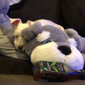 Meet your Posher, Leilani